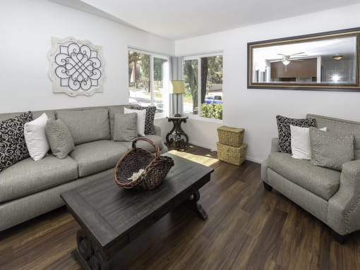 Expansive Living Room at Eucalyptus Grove Apartments, Chula Vista, CA, 91910